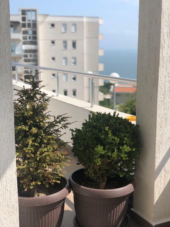 Apartmani Dini 乌尔齐尼 外观 照片