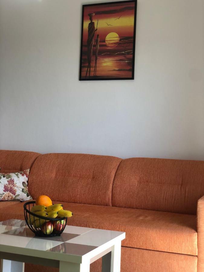 Apartmani Dini 乌尔齐尼 外观 照片